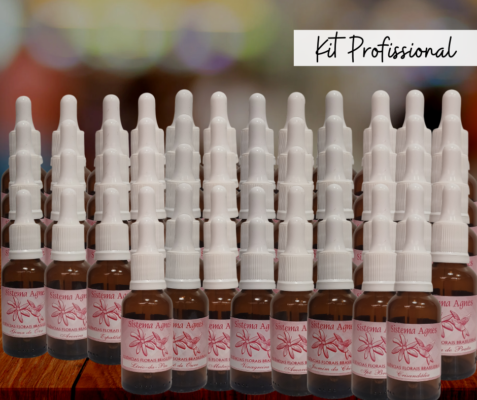 Kit profissional - 56 essências