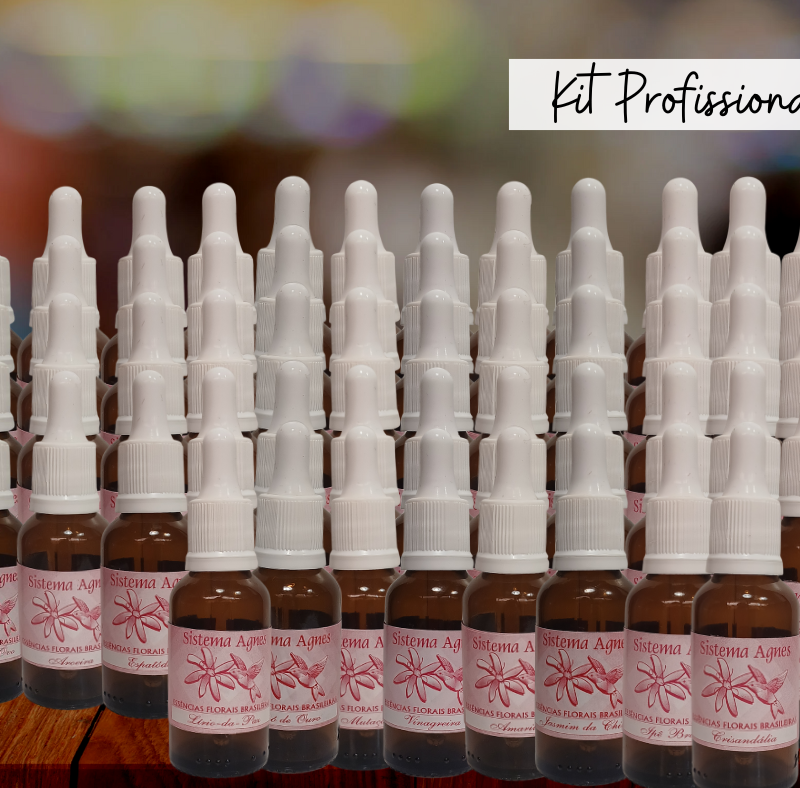 Kit profissional - 56 essências