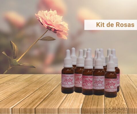 Kit de Rosas
